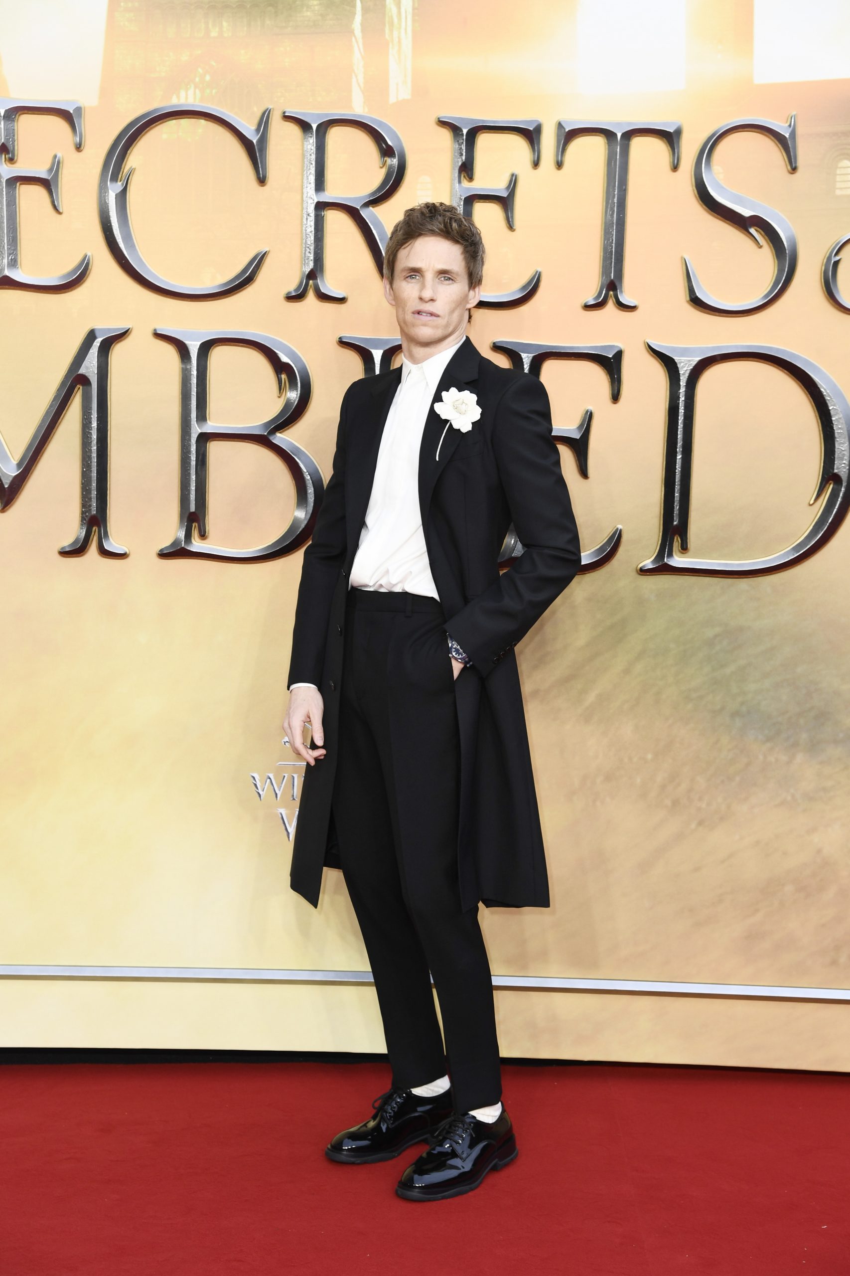World Premiere Fantastic Beasts: The Secrets of Dumbledore - J.K. Rowling